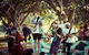Buskers By The Lake - thumb 1