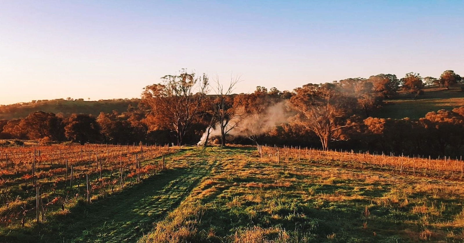 Lidster NSW Grafton Accommodation