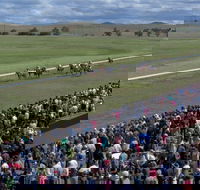 Cooma Sundowners Cup - Grafton Accommodation