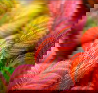 Creative Fibre - Grafton Accommodation