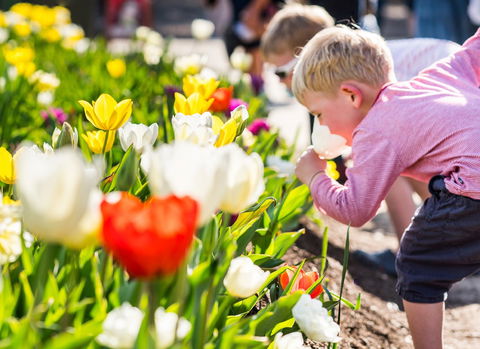 Floriade: Reimagined - Grafton Accommodation 1