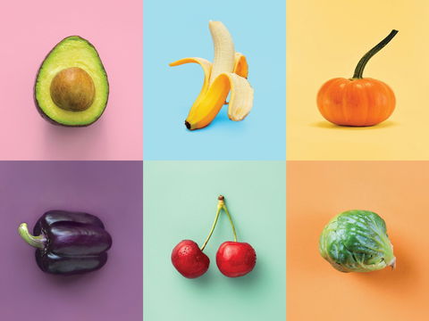 Food For Thought: Alternative Food Sources - Grafton Accommodation 0