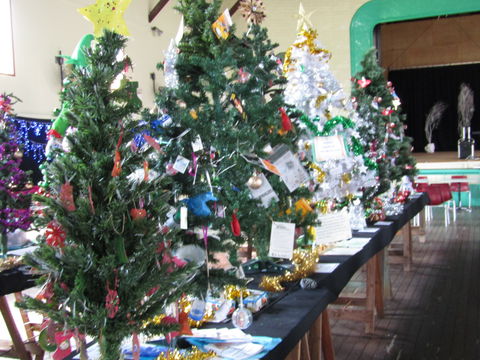 Mount Morgan Christmas Tree Festival - Grafton Accommodation 0