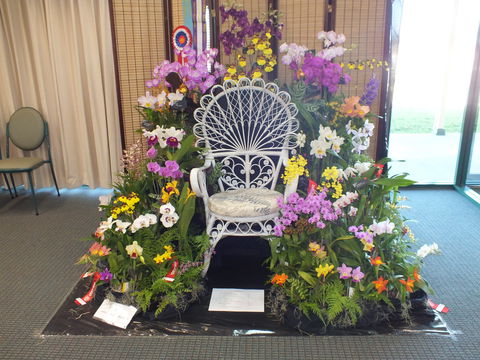 Orchids Out West - Grafton Accommodation 0