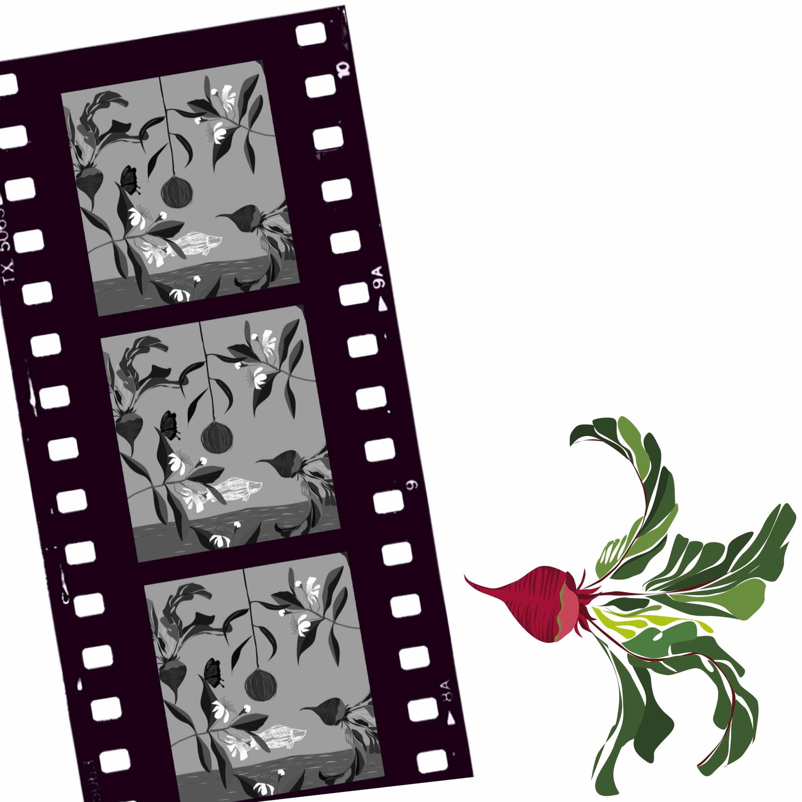 Cairns North QLD Grafton Accommodation