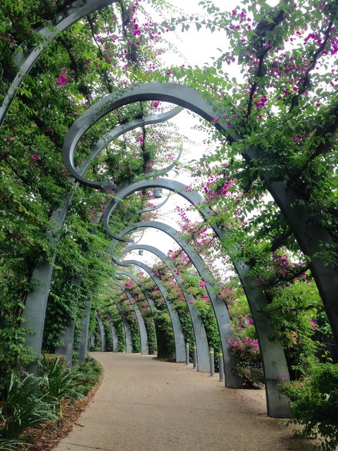 Photography Class / Tour Of Brisbane - Grafton Accommodation 0