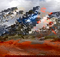 Sunraysia Safari Rally - Grafton Accommodation