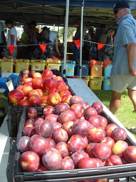 The Farmers Market On Manning - Grafton Accommodation 0