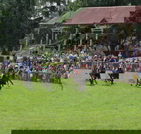 Tumut Boxing Day Races - Grafton Accommodation