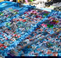 Wyee Markets - Grafton Accommodation