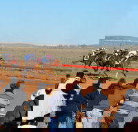 2020 Quorn Cup - Grafton Accommodation