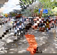 Australian National Busking Championships - Grafton Accommodation