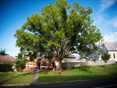 Big Bat Wildlife And Eco Festival - Grafton Accommodation 0