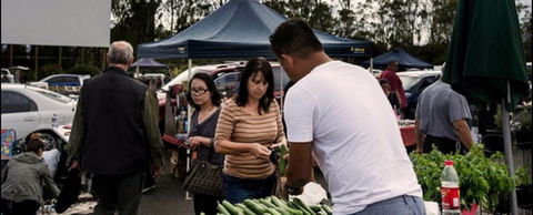 Blacktown Markets - Grafton Accommodation 0