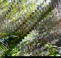 Bottlebutt Bash Trail Run - Grafton Accommodation