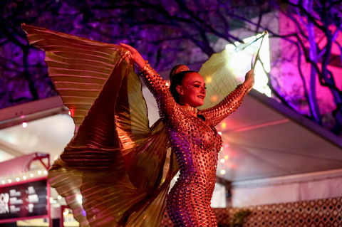 Brisbane Festival - Grafton Accommodation 0