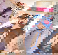 Cairns Amateurs - Grafton Accommodation