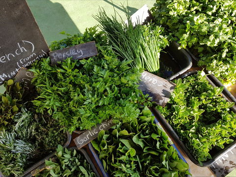 Carlton Farmers' Market - Grafton Accommodation 2