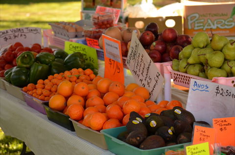 Centenary Park Charity Markets - Grafton Accommodation 0