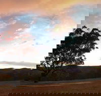 Christmas in July Jumpers and Jazz - Grafton Accommodation