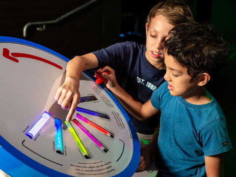 Colour: See The World In A New Light - Grafton Accommodation 2