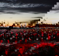 Field of Light Uluru - Grafton Accommodation