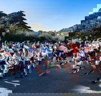 Freycinet Challenge - Grafton Accommodation