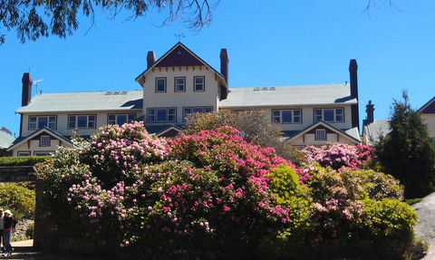 Hedonistic Hiking's Mount Buffalo Hike And Picnic - Grafton Accommodation 1