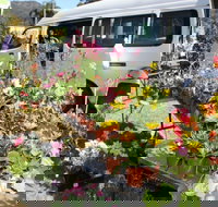 Johns River Country Markets - Grafton Accommodation