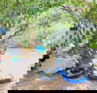 Jungle Love Festival - Grafton Accommodation