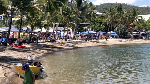 Lions Airlie Beach Community Markets - Grafton Accommodation 0
