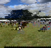 Majors Creek Festival - Grafton Accommodation