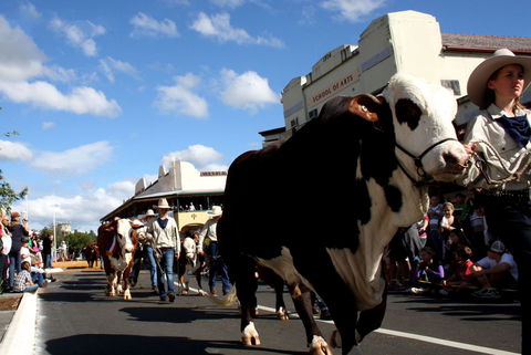 NCMC Casino Beef Week - Grafton Accommodation 1