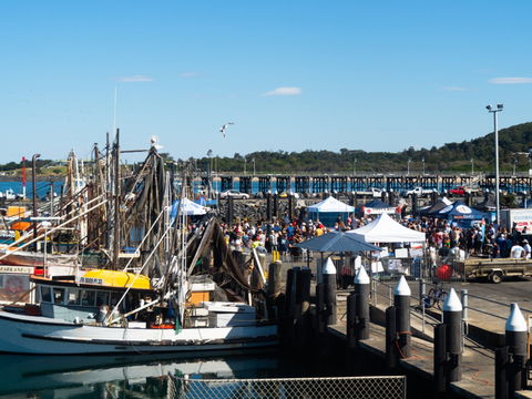 Ocean Harvest Festival - Grafton Accommodation 0