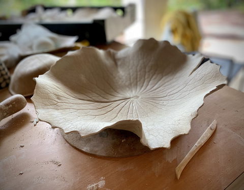 Online Live Streaming Class: DIY Clay Hand Building For Beginners - Grafton Accommodation 0