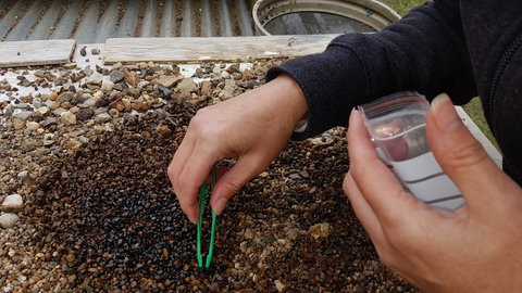 The Minerama Fossicking, Gem And Jewellery Show - Grafton Accommodation 1