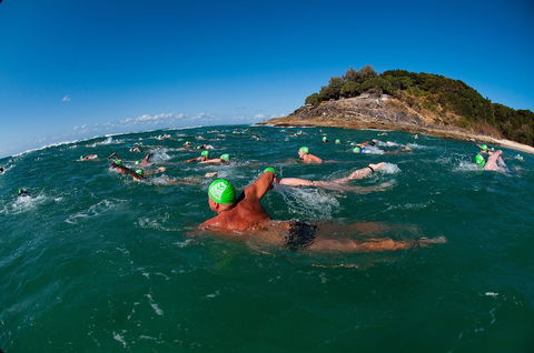 The Straddie Salute Triathlon Festival - Grafton Accommodation 1
