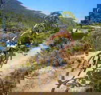 TreX Cross Triathlon Series  Snowy Mountains - Grafton Accommodation