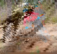 Fox Superflow sealed by Stan's Race  Greenvalleys - Grafton Accommodation