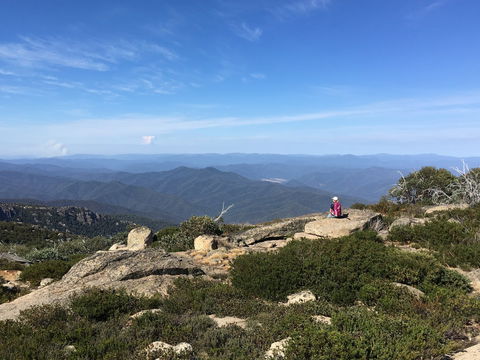 Hedonistic Hiking's Buffalo And Bubbles - Grafton Accommodation 1