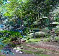 Ferntree Rainforest Lodge - Grafton Accommodation