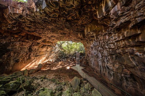 Undara Experience - Grafton Accommodation 6