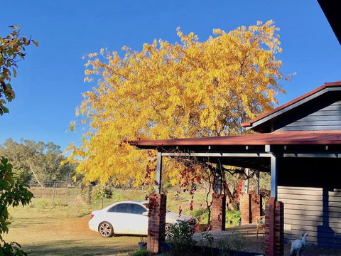 Acheron Valley Country Estate - Grafton Accommodation 3