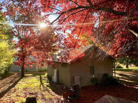 Acheron Valley Country Estate - Grafton Accommodation 5
