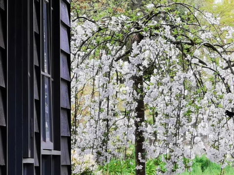 Acheron Valley Country Estate - Grafton Accommodation 1