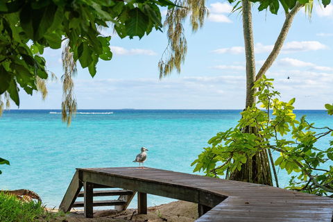 Heron Island Resort - Grafton Accommodation 3