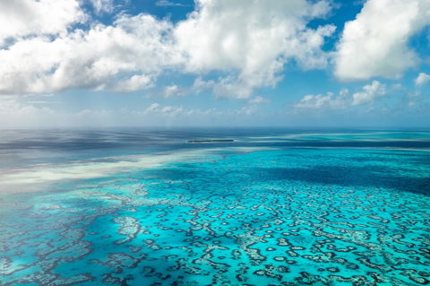 Heron Island Resort - Grafton Accommodation 2