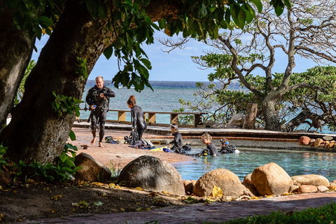 Heron Island Resort - Grafton Accommodation 4