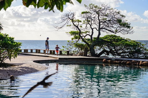 Heron Island Resort - Grafton Accommodation 5