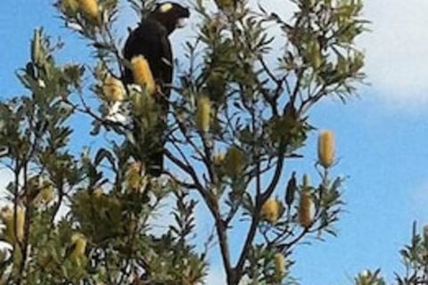 Lake Illawarra B&B - Grafton Accommodation 1